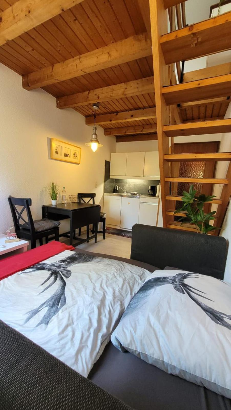 Berg-Buedchen - Schnuckelige Maisonette-Fewo - Gemuetlich Und Guenstig Sankt Andreasberg Exterior photo